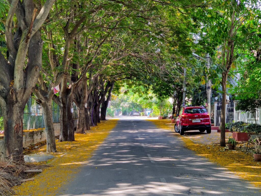 Red Car on Road Near Green Trees bangalore